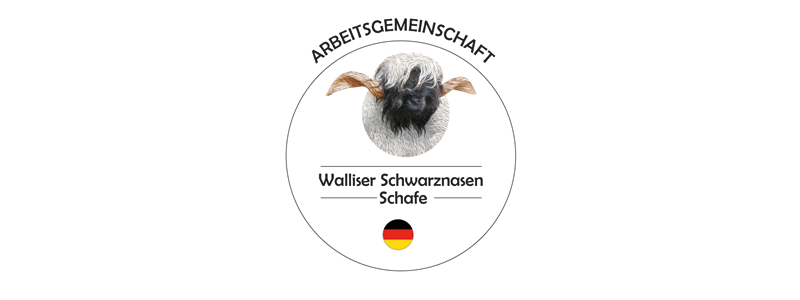 ARGE Walliser Schwarznasenschafe